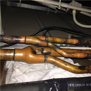 �㽭��ͨ��W(w��ng)��������{(di��o)�S��